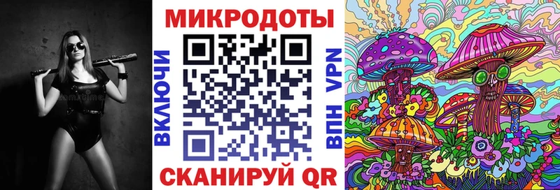 Псилоцибиновые грибы Psilocybine cubensis Ейск